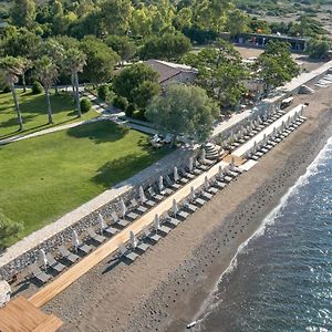 Surf Tatil Köyü